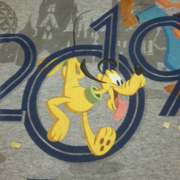 Walt Disney ✨ World 🌎 Shirt Pluto Goofy Mickey Mouse Chip N Dale 🐿️ 🍿 Medium - Picture 4 of 12